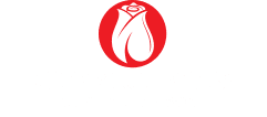 Rocknrose