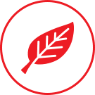 our-process-icon-3 our-process-icon-3